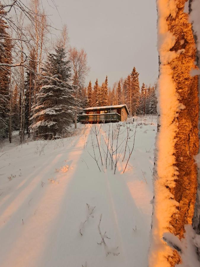 Northwoods Cottage Bed And Breakfast Fairbanks Bagian luar foto