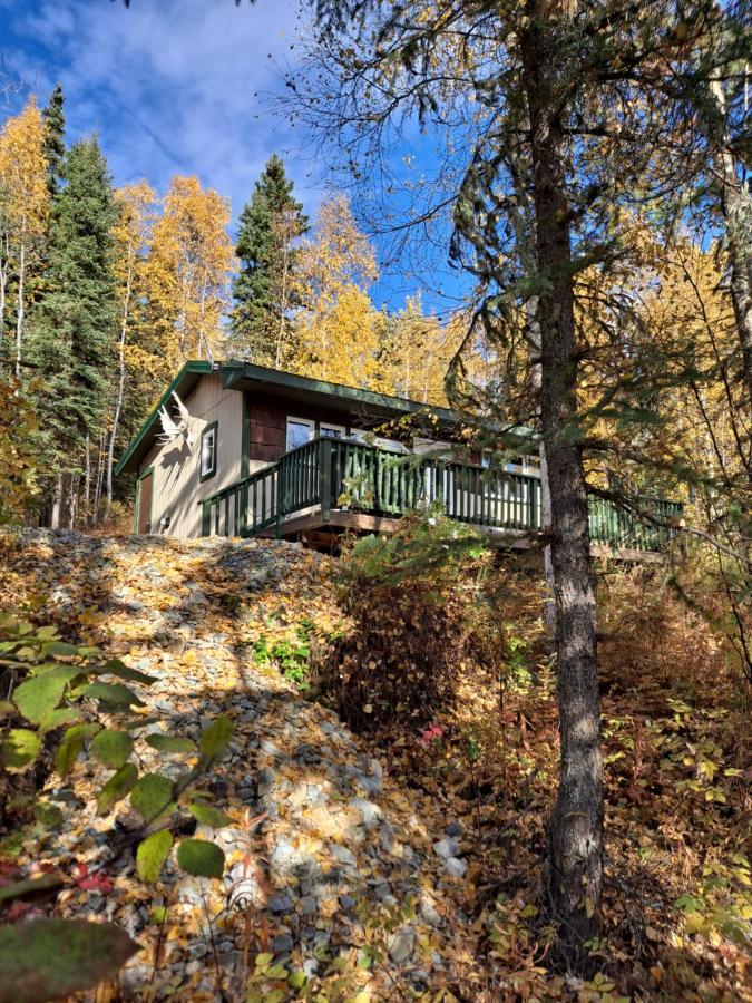 Northwoods Cottage Bed And Breakfast Fairbanks Bagian luar foto