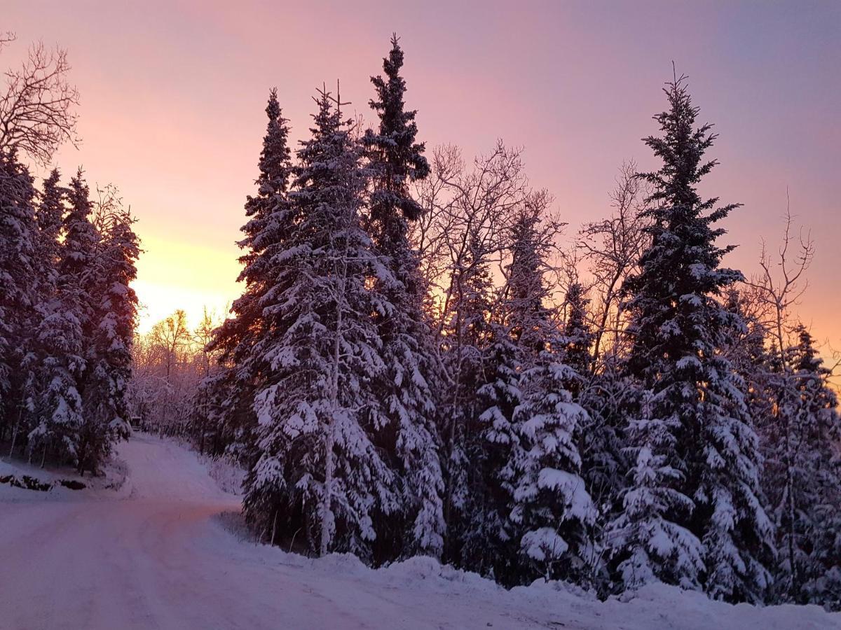 Northwoods Cottage Bed And Breakfast Fairbanks Bagian luar foto