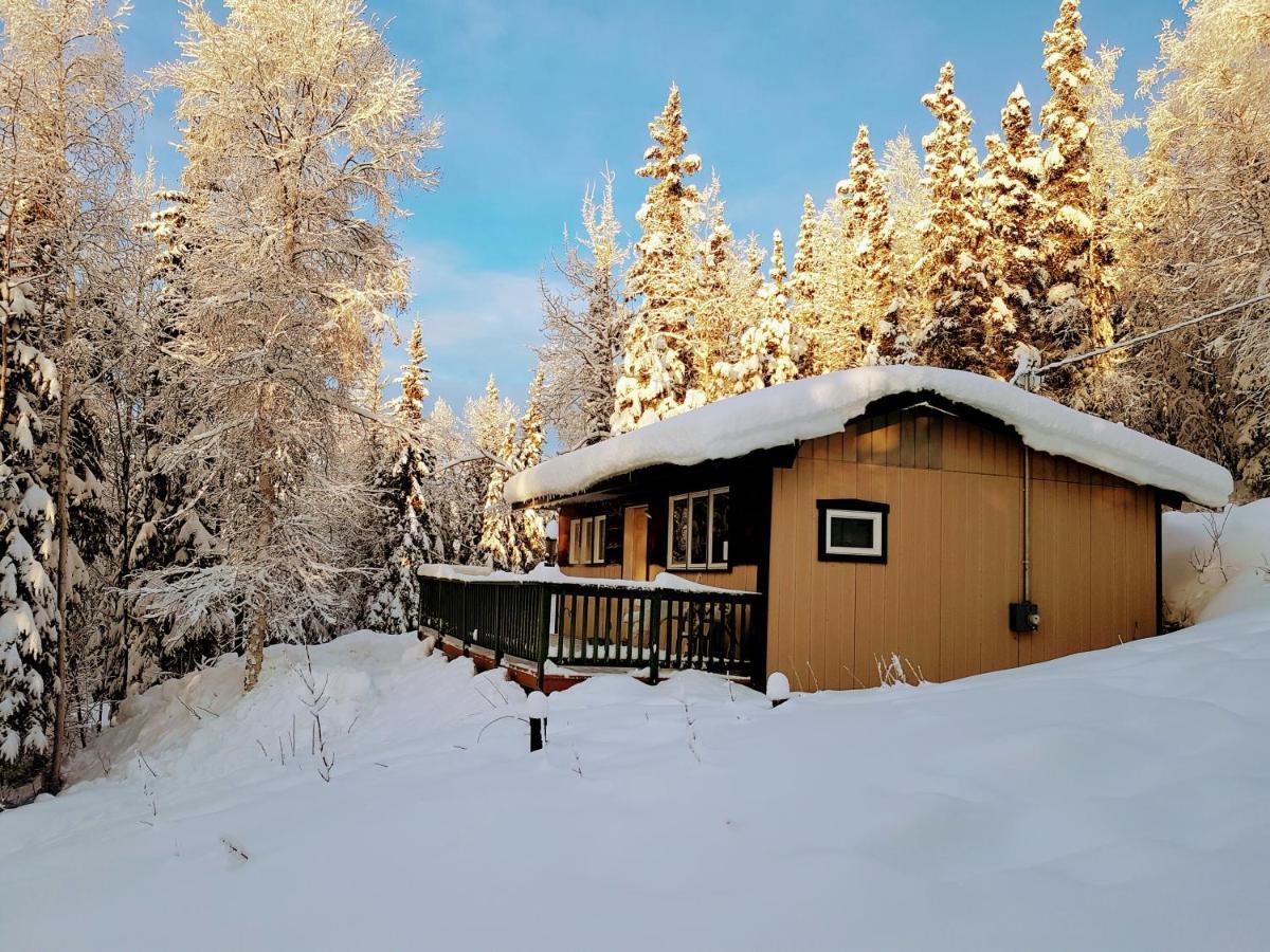Northwoods Cottage Bed And Breakfast Fairbanks Bagian luar foto