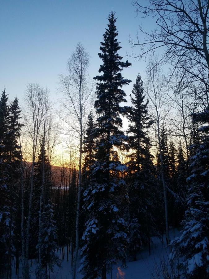 Northwoods Cottage Bed And Breakfast Fairbanks Bagian luar foto