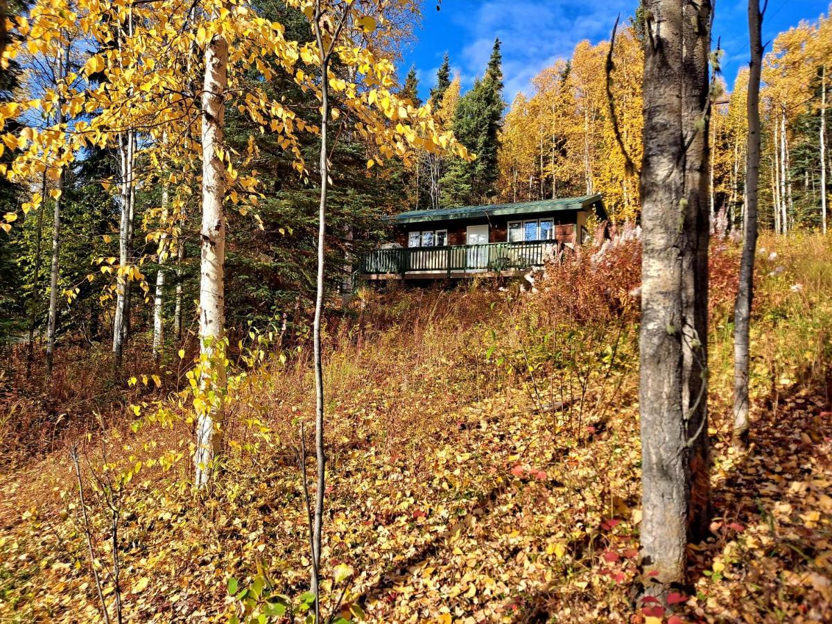 Northwoods Cottage Bed And Breakfast Fairbanks Bagian luar foto