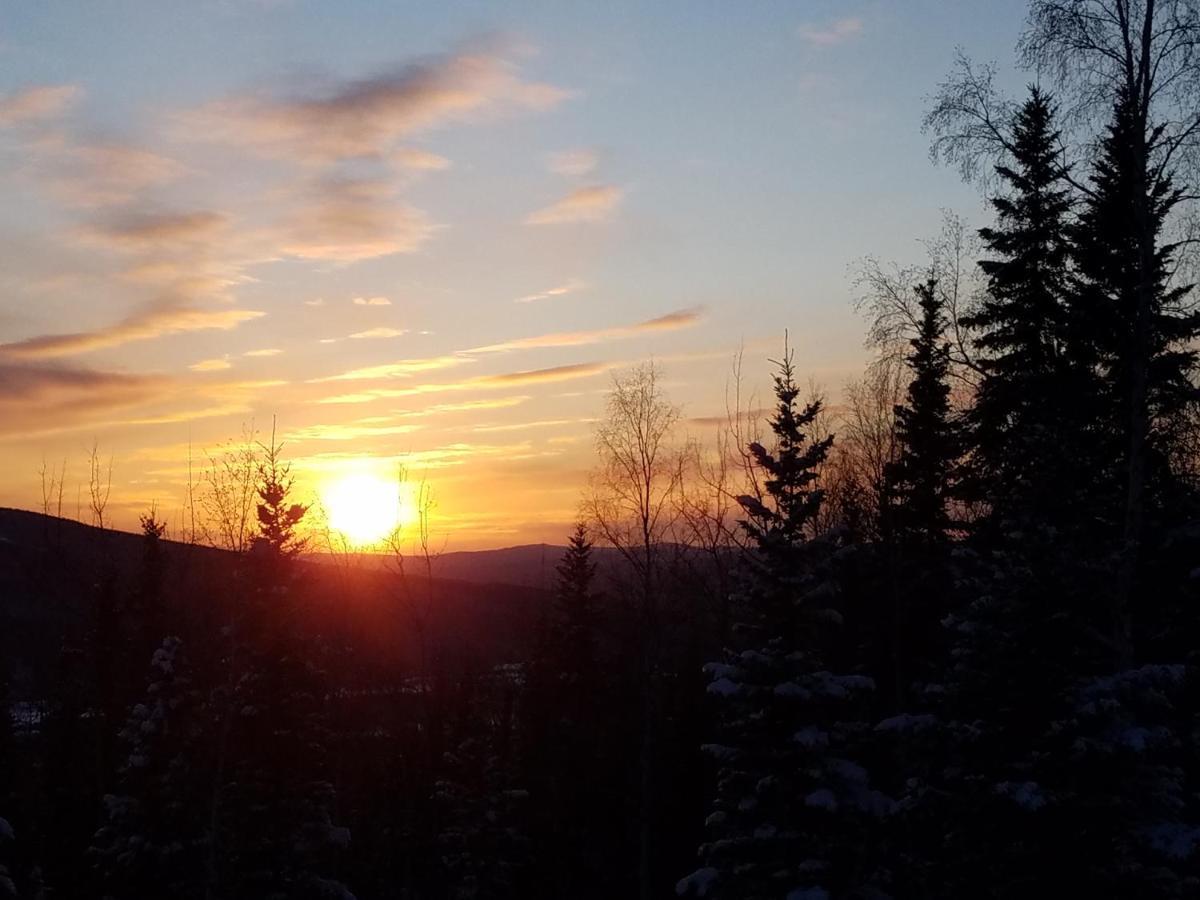 Northwoods Cottage Bed And Breakfast Fairbanks Bagian luar foto
