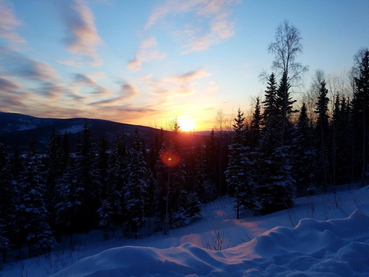 Northwoods Cottage Bed And Breakfast Fairbanks Bagian luar foto
