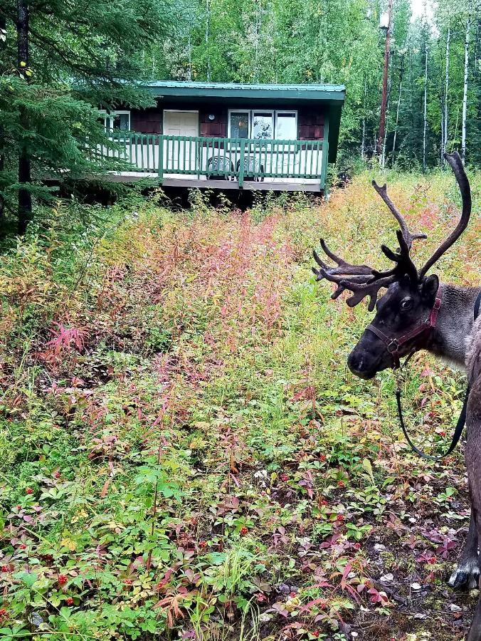 Northwoods Cottage Bed And Breakfast Fairbanks Bagian luar foto