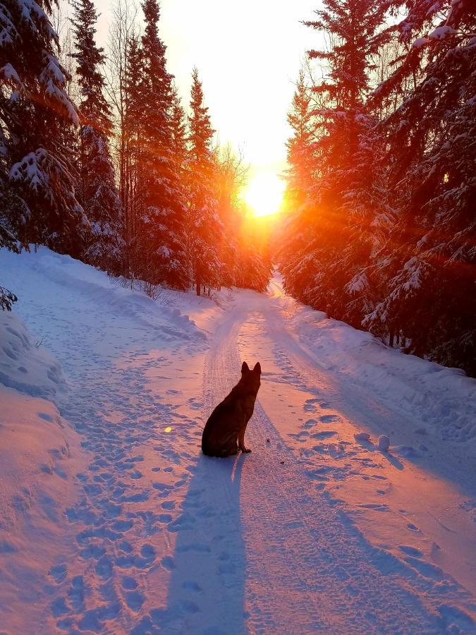 Northwoods Cottage Bed And Breakfast Fairbanks Bagian luar foto