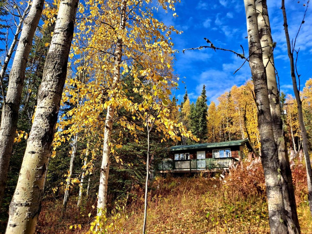 Northwoods Cottage Bed And Breakfast Fairbanks Bagian luar foto