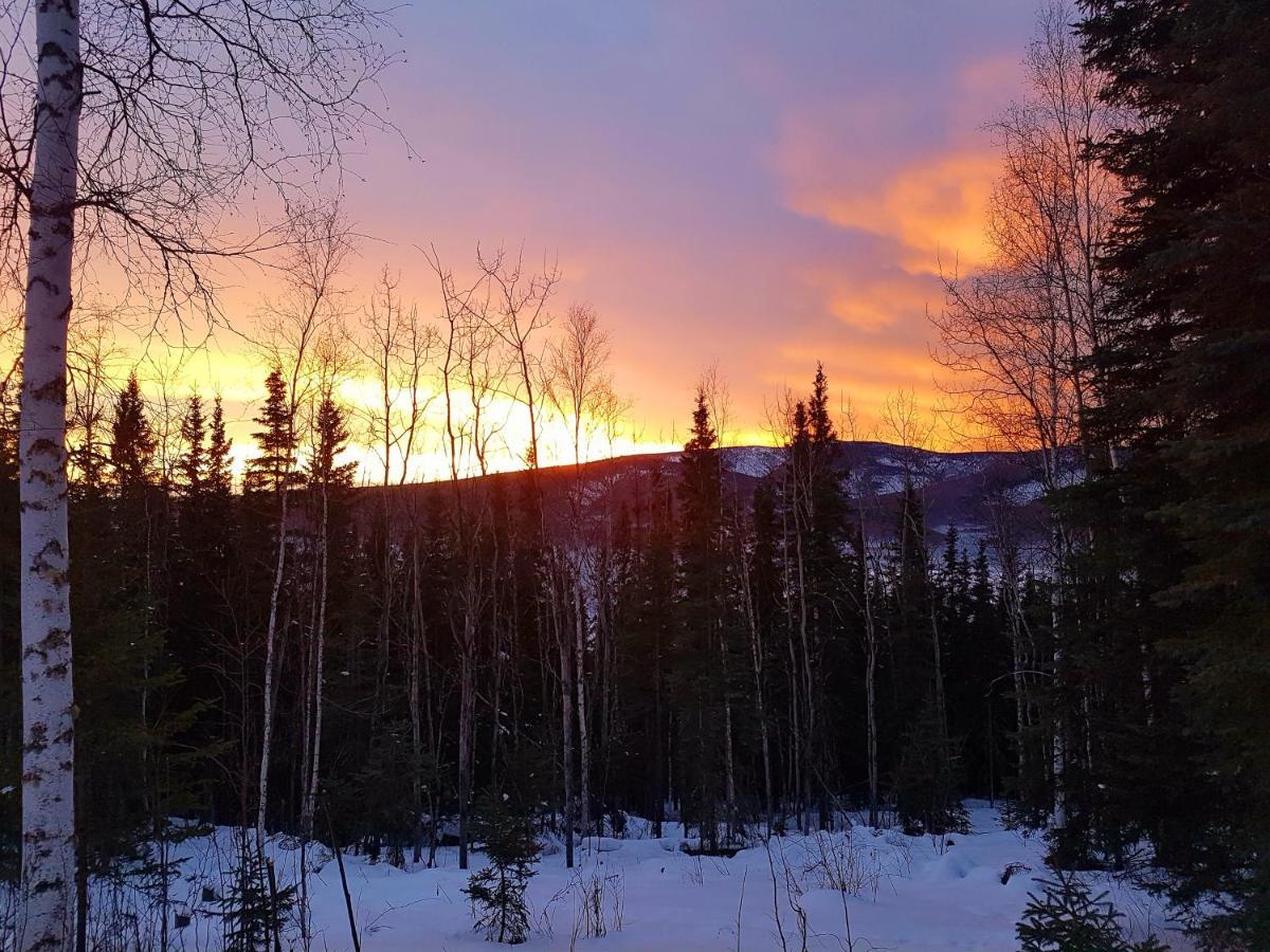 Northwoods Cottage Bed And Breakfast Fairbanks Bagian luar foto