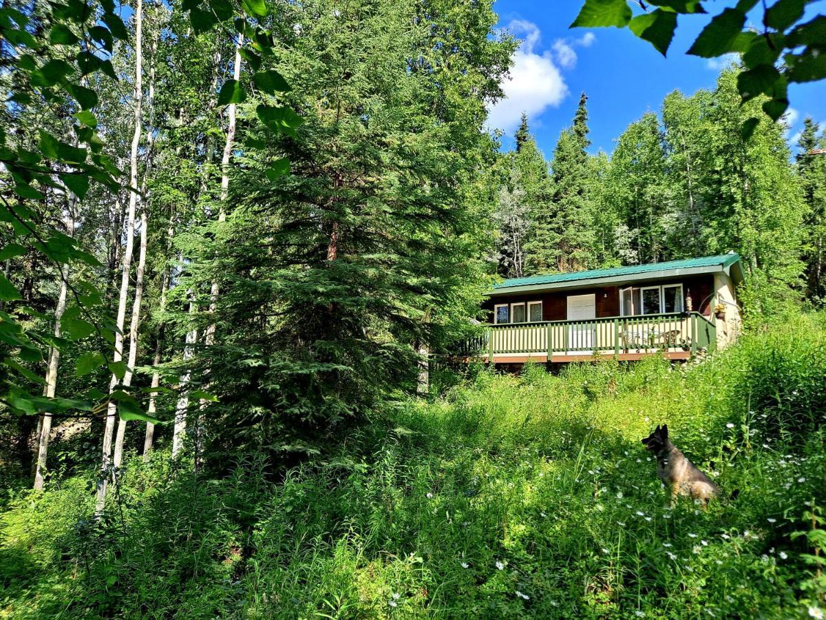 Northwoods Cottage Bed And Breakfast Fairbanks Bagian luar foto